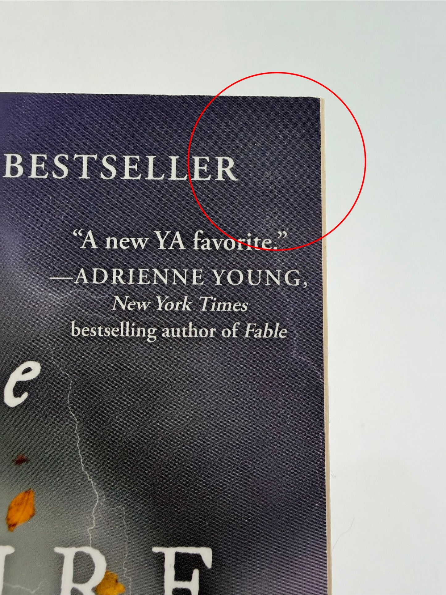 The Nature of Witches by Rachel Griffin (Used, Paperback)